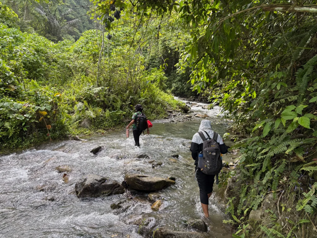 mt pinan-panan maragusan davao de oro river trekking