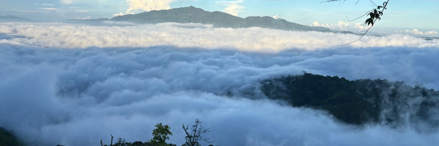 mt pinan-panan maragusan davao de oro thick sea of clouds