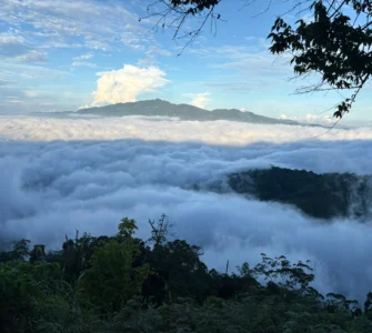 mt pinan-panan maragusan davao de oro thick sea of clouds