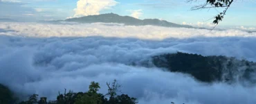 mt pinan-panan maragusan davao de oro thick sea of clouds