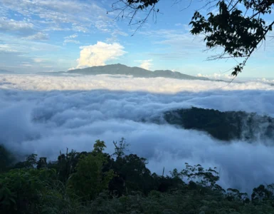 mt pinan-panan maragusan davao de oro thick sea of clouds