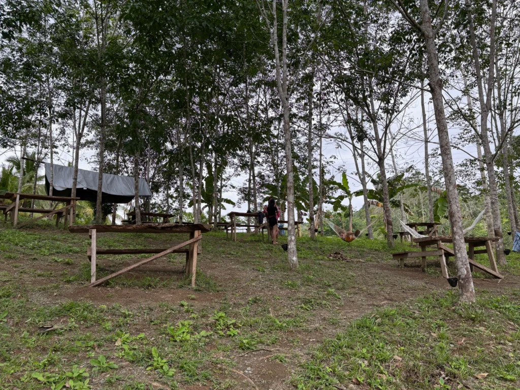la tonyo's lakeview nabunturan small cottages and rubber trees