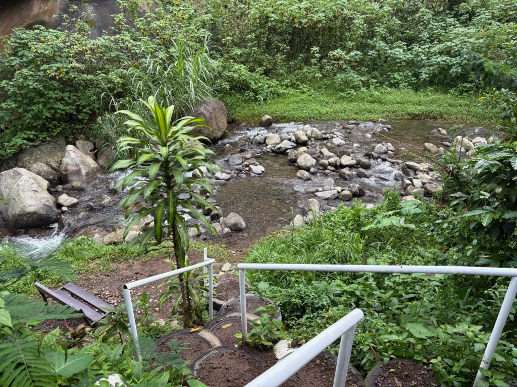 Araw Araw Sunday Family Camping Ground Baracatan Toril stairway to the Baracatan River to swim
