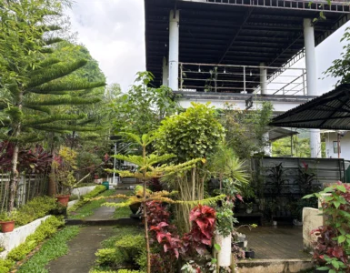 Paris Hill Terrace Baracatan Toril entryway