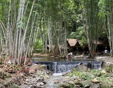 Silmaro Bamboo Nature Park Maragusan man-made dam for swimming pool