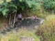 Bukal sa Kanal Natural Hot Springs Purok Mainit Maragusan dark pebbles stones where small hot springs from.