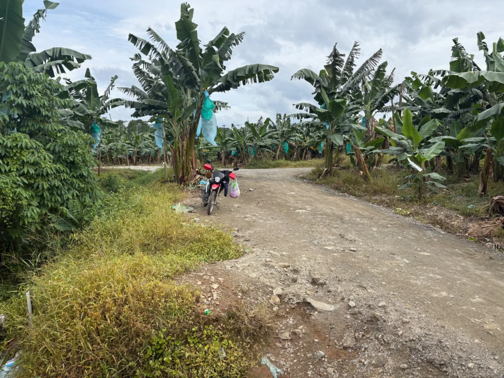 Bukal sa Kanal Natural Hot Springs Purok Mainit Maragusan small parking space for motorcycles and vehicles alongside the banana plantation.