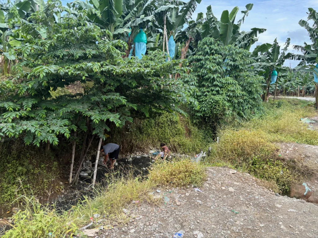 Bukal sa Kanal Natural Hot Springs Purok Mainit Maragusan just along the road of the banana plantation.