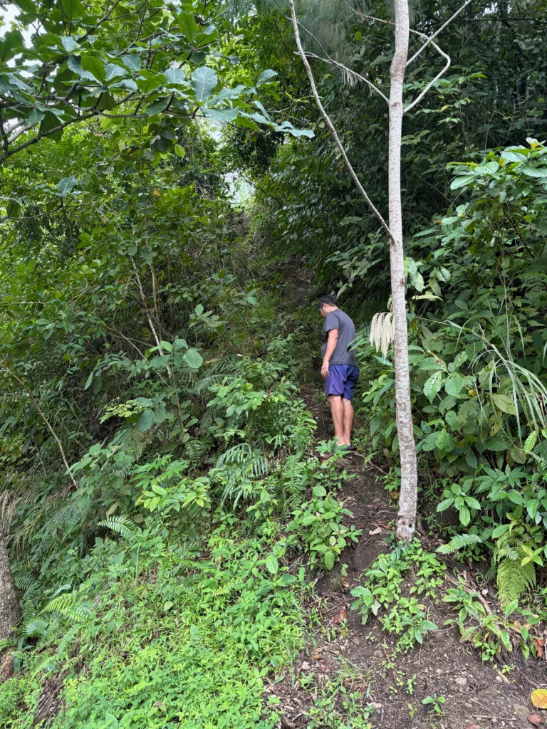 Talaingod Viewdeck Davao del Norte steep ascent for hikers short cut route.