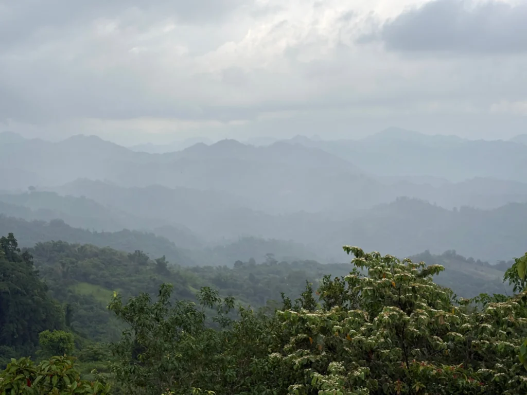 Talaingod Viewdeck Davao del Norte mountain view foggy cold landscape view.