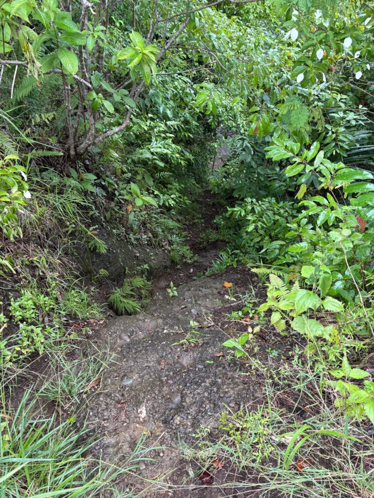 Talaingod Viewdeck Davao del Norte drop descent for trail runners short cut route.
