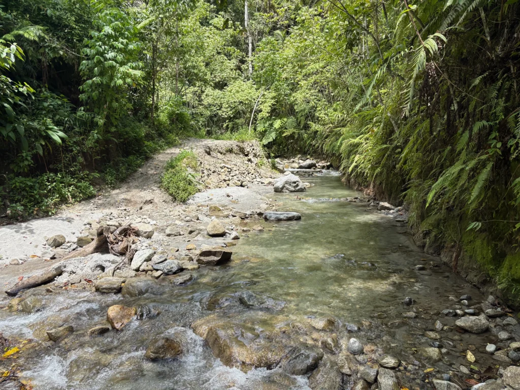 marangig falls maragusan davao de oro short trek to the falls