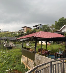 Blue Ridge Campsite Sitio Kabalansihan, Brgy. Sinuda, Kitaotao, Bukidnon the backview facing the ridges.