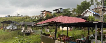 Blue Ridge Campsite Sitio Kabalansihan, Brgy. Sinuda, Kitaotao, Bukidnon the backview facing the ridges.