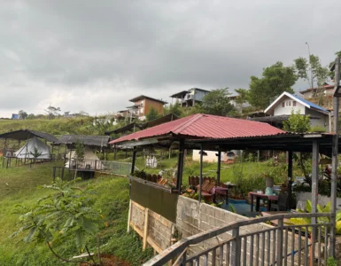 Blue Ridge Campsite Sitio Kabalansihan, Brgy. Sinuda, Kitaotao, Bukidnon the backview facing the ridges.