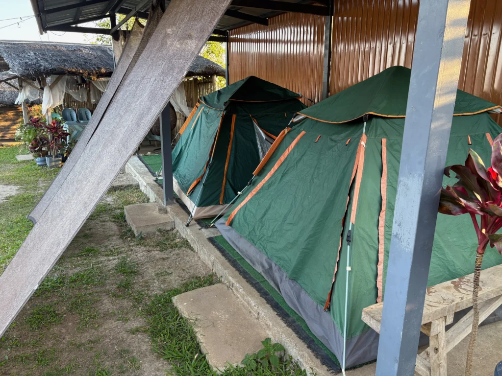 Tentsite ni Apo and Mulberry Farm Balutakay, Bansalan, Davao del Sur inhouse tent