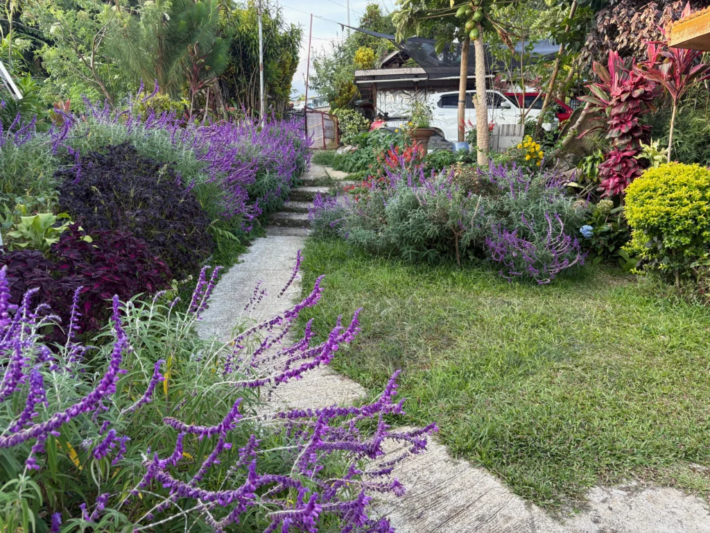 Tentsite ni Apo and Mulberry Farm Balutakay, Bansalan, Davao del Sur landscape garden