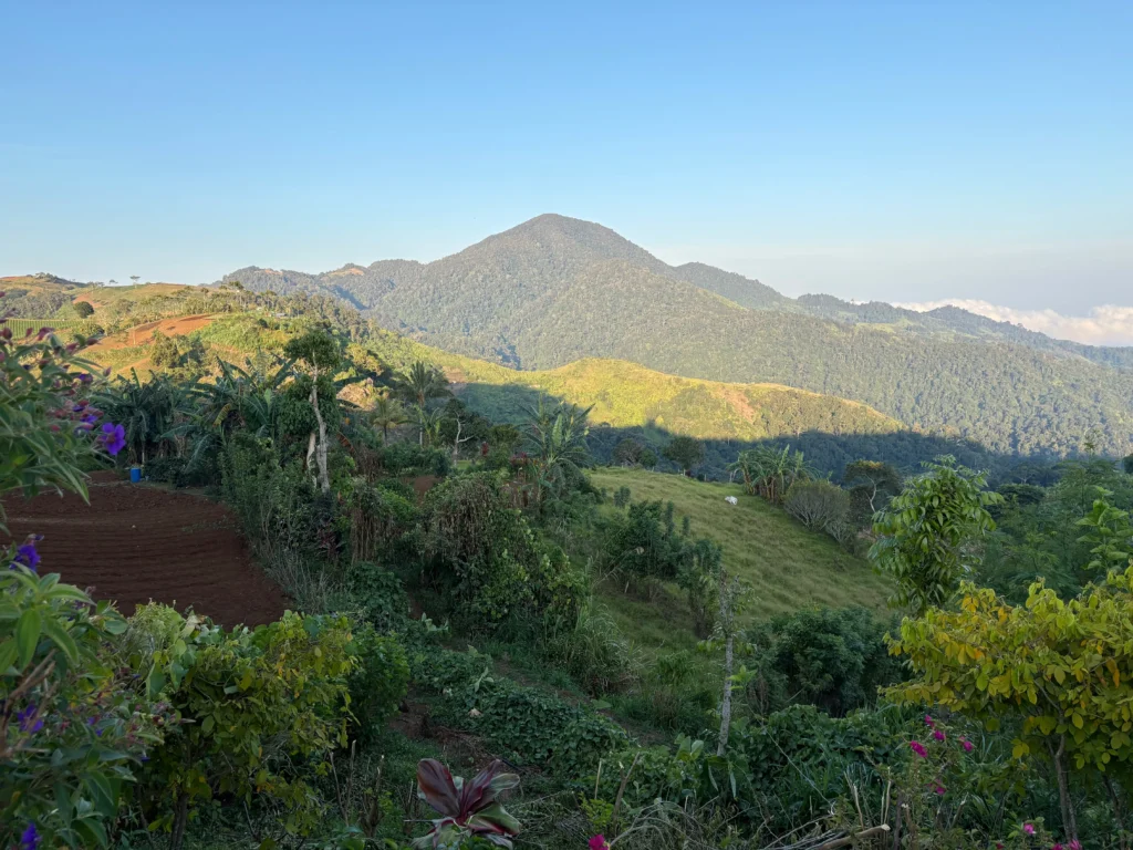Tentsite ni Apo and Mulberry Farm Balutakay, Bansalan, Davao del Sur adjacent mountain view and farmlands