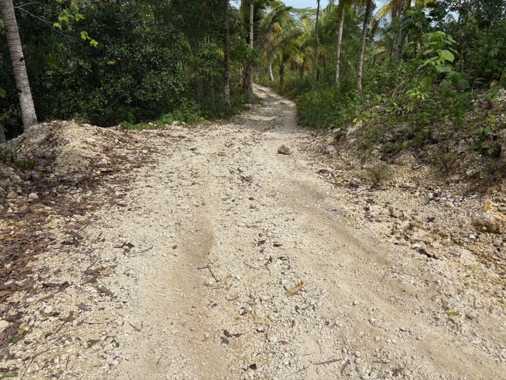 walker's deck in new corella, davao del norte difficult road pass