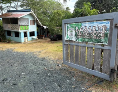 Basarte Mangrove Park Inn and Resort Governor Generoso Davao Oriental entrance gate