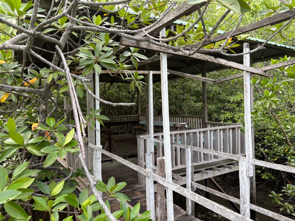 Basarte Mangrove Park Inn and Resort Governor Generoso Davao Oriental large cottages for gatherings