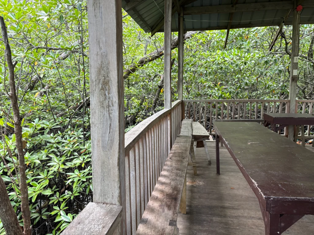 Basarte Mangrove Park Inn and Resort Governor Generoso Davao Oriental big cottage for events