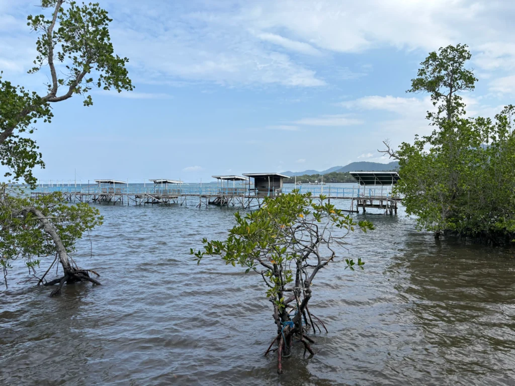 Basarte Mangrove Park Inn and Resort Governor Generoso Davao Oriental cottages