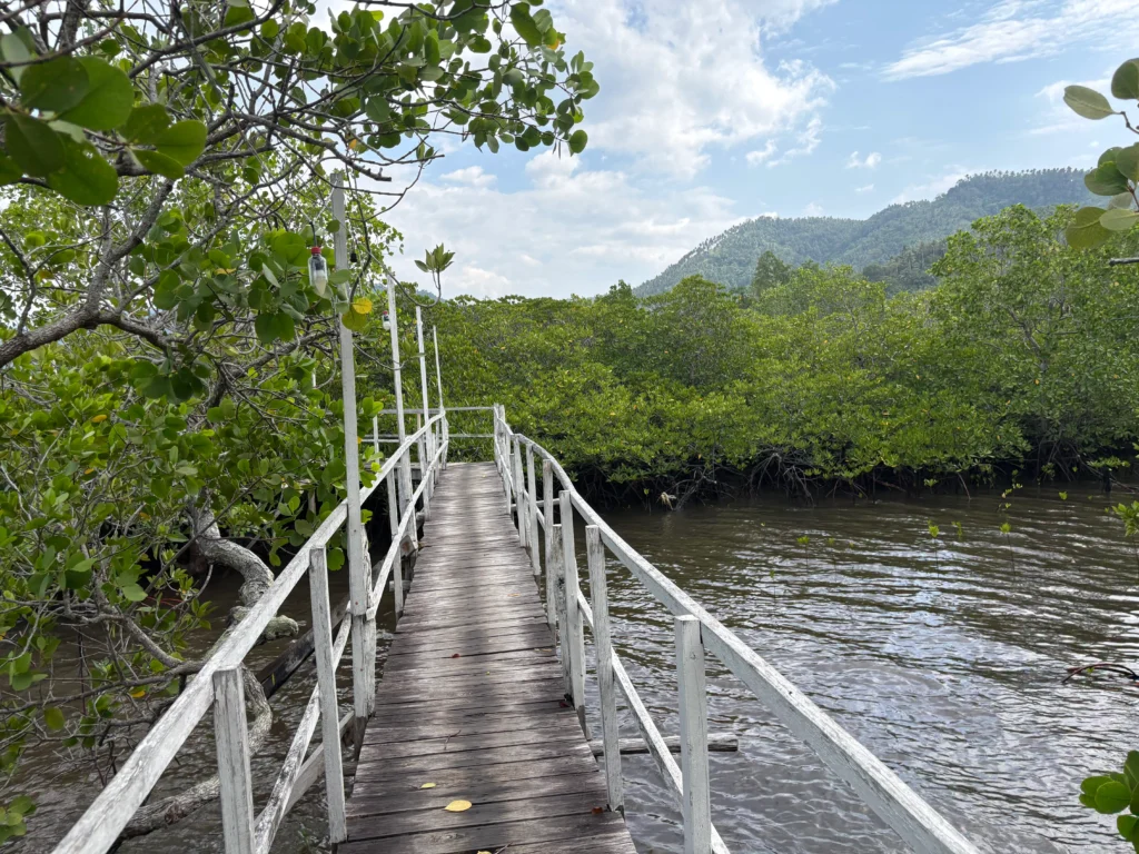 Basarte Mangrove Park Inn and Resort Governor Generoso Davao Oriental wooden platform through the mangroves