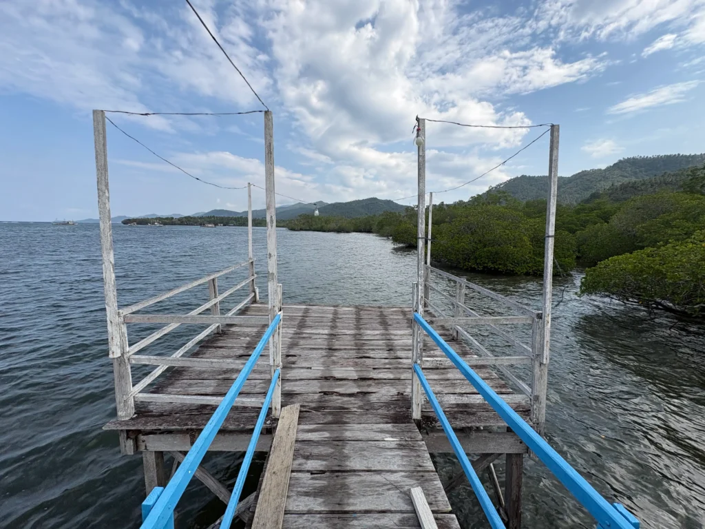 Basarte Mangrove Park Inn and Resort Governor Generoso Davao Oriental fishing area