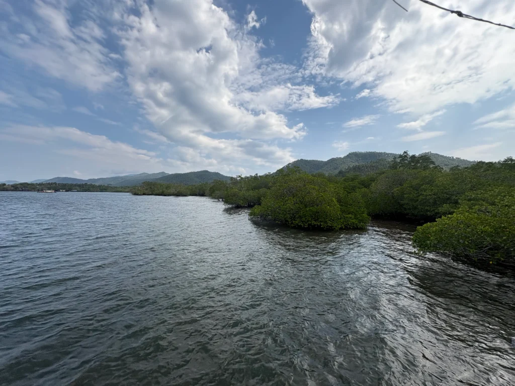 Basarte Mangrove Park Inn and Resort Governor Generoso Davao Oriental large mangrove reserves