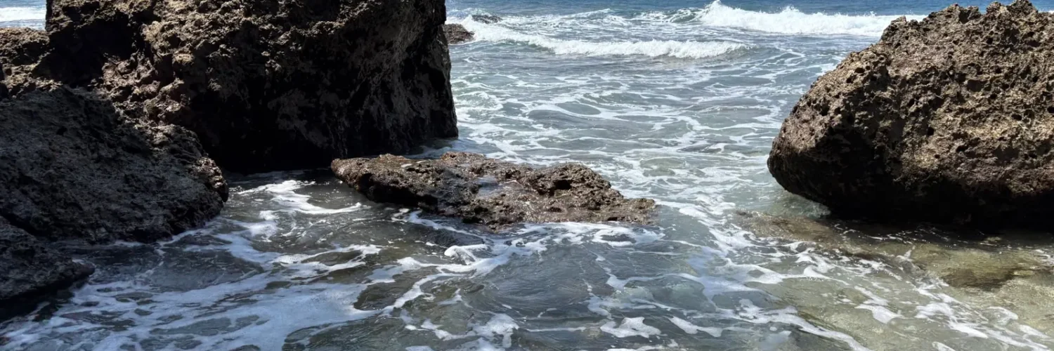 Offshore rock formation topped with trees and waves rolling over clear shallow water at Cape San Agustin in Governor Generoso, Davao Oriental