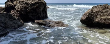 Offshore rock formation topped with trees and waves rolling over clear shallow water at Cape San Agustin in Governor Generoso, Davao Oriental